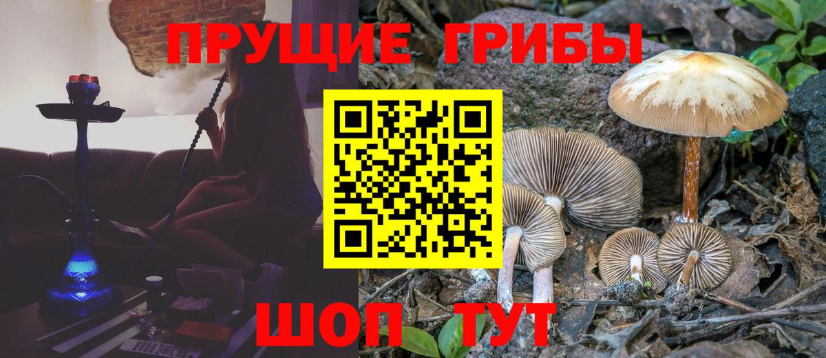Белорецк  Галлюциногенные грибы Psilocybine cubensis  Вход с VPN  Псилоцибиновые грибы Psilocybe 